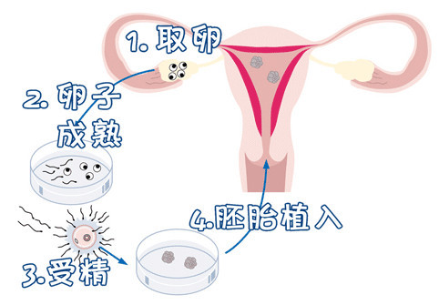 男科专家